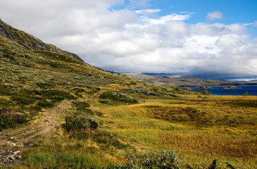 Obraz premium Lake in the prairies of the interior of southern Norway on a cloudy day.