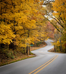 Obraz premium Road to WInter