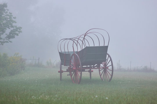 conestoga wagon, without canvas top, in meadow under heavy fog