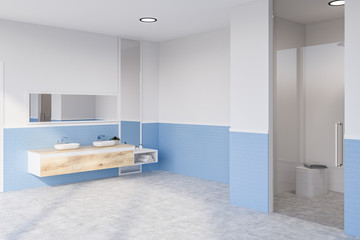 White and blue bathroom, sink and shower