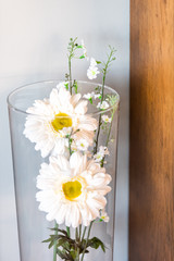 Two large yellow and white daisy flowers bouquet arrangement inside flower glass vase isolated vertical closeup against wall with dried green leaves