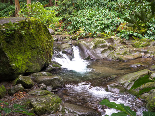 water spring cascade with moss and stones and lush green vegetation in the rainforest jungle at the end of the hiking trail in Faial da Terra, Sao Miguel island in Azores, Portugal