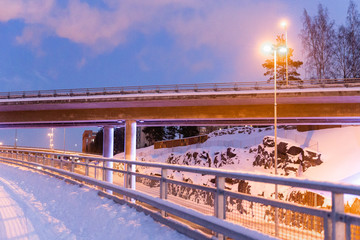 wintery view under a bridge.