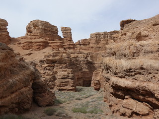 Fototapeta premium Каньон Чарын. Казахстан. Река скалы.