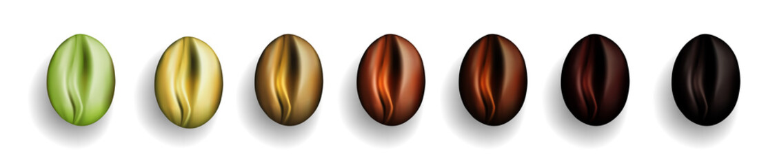 Various Stages of Coffee Beans Roasted from Green to Dark Brown