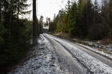 Frosty gravel road through the woods
