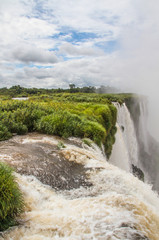 Fototapeta premium Die berühmten Wasserfälle von Iguacu in Argentinien