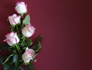 Różowe róże - obrazy, fototapety, plakaty