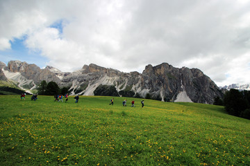 Amazing landscape of Dolomites Alps with group of tourists and meadows of dandelions and cloudy sky