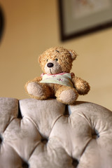 Cute teddy bear sitting on backrest of the antique chair