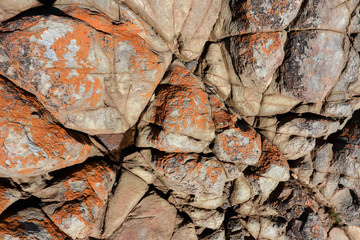 Rocky exposed sea bed