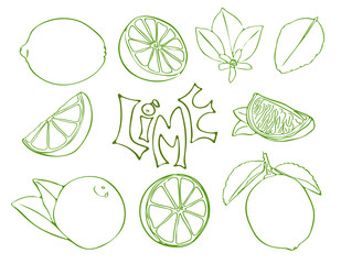 Set of lime vector symbols in sketch style - 244371671