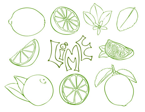 Set of lime vector symbols in sketch style