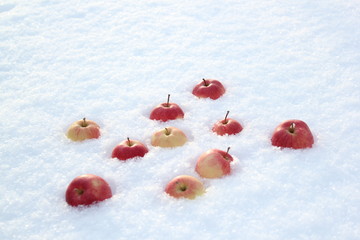 Fototapeta na wymiar Red apples on snow
