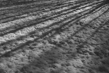 Winter snow forest landscape rural nature