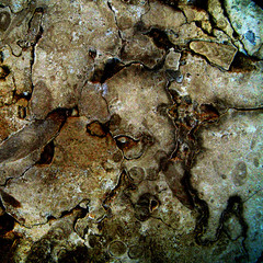 brown marble texture