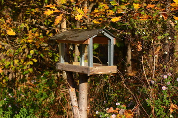 Wooden bird feeder