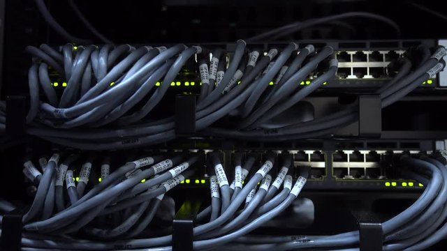  UTP cables are connected to a network switch. Network activity on switch. Rack Mounted Servers. Close-up