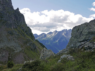 meravigliosa vista delle dolomiti d'estate, tra rocce maestose e verde