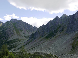 meravigliosa vista delle dolomiti d'estate, tra rocce maestose e verde