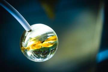 A Crystal ball with some leaf inside, dark surrounding. Clear ball reflected green park outside. 