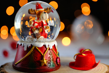 Christmas in pictures