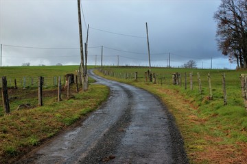 Fototapeta na wymiar Route de campagne sous la pluie.