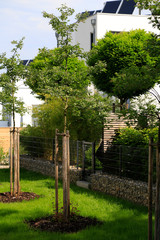 Moderne Gartengestaltung: Mit Steinen gefüllte Gabionen als Zaun und Gartenmauer und frisch gepflanzte Obstbäume