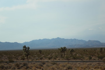 Somewhere between Las Vegas and California