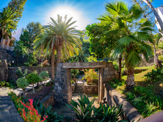Beautiful tropical garden of Garachico village, historic remains of Puerta de Tierra in Tenerife -...