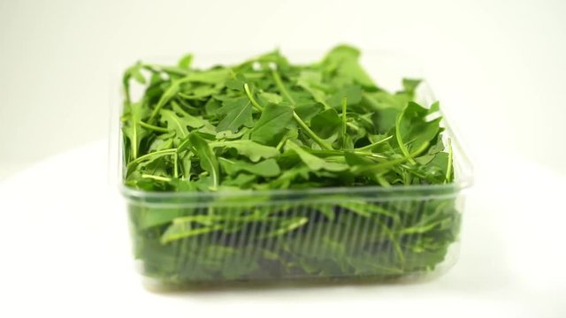 Fresh green leaves of rocket arugula salad isolated in transparent plastic box rotating at white background. Real time full hd video footage.
