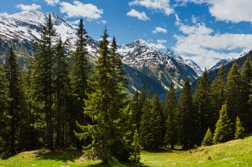 Alps mountain summer view, Austria