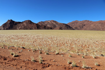 colorful grass steppe with mountains in Namibia Africa