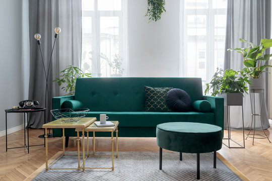 Bright and sunny luxury home interior with design green velvet sofa, furniture, armchair, gold coffee tables, pouf and accessroies.  Big windows. A lot of plants. Stylish decor of living room.