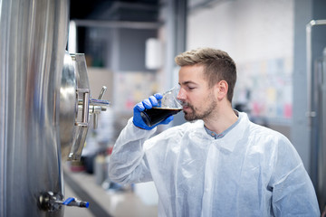 Technologist tasting beer quality at modern brewery. Beverage production.
