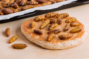 Silkworm Pupae (Bombyx Mori). Food insects for eating as food. Bakery baked bread made of cooked insect meat with baking tray on wood background is good source of protein edible. Entomophagy concept.