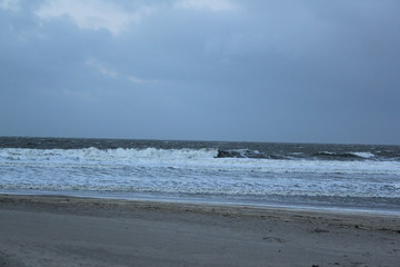 Dunes at the coast of the North Sea
