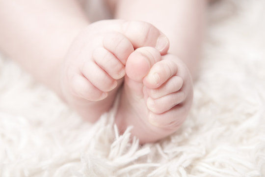 baby foot wool background