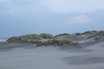 Dunes at the coast of the North Sea