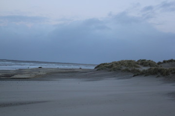Dunes at the coast of the North Sea