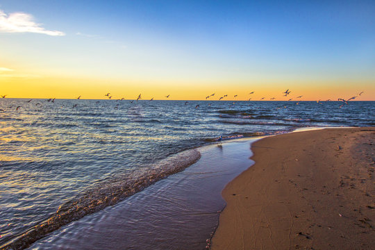 Sunset Beach Background. Seagulls over the blue waters of Lake Michigan with a gorgeous golden sunset at the horizon in Muskegon, Michigan.