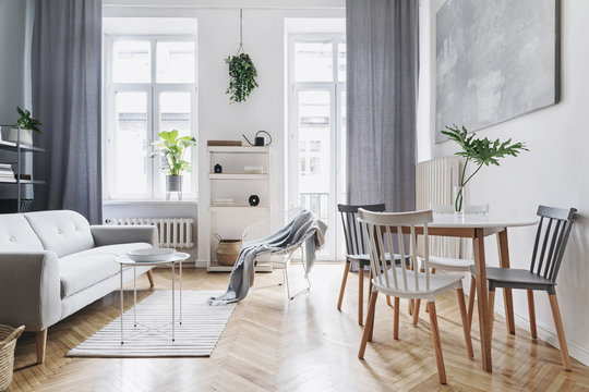 Bright home nordic living room with design sofa, family table, plant, white bookstand on the wall. Brown wooden parquet. Abstract painting on the white wall.  Concept of minimalistic interior.