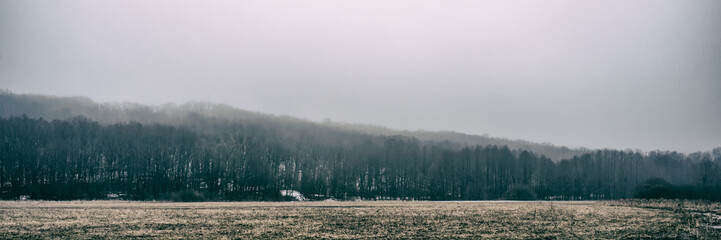 trees and dry grass in a meadow on a foggy day, panoramic landscape. Web banner for design.