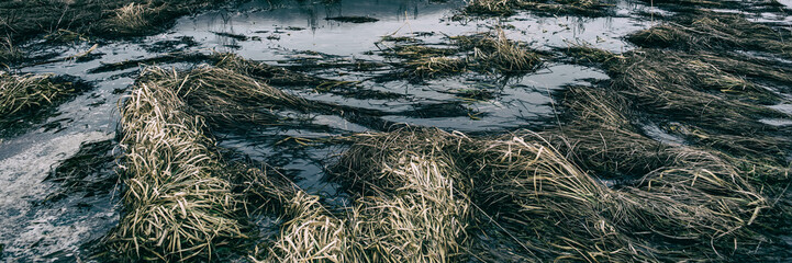dry grass and puddles of water in a meadow on a foggy day. Web banner for design.