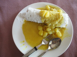 Repas vegan Inde du Sud