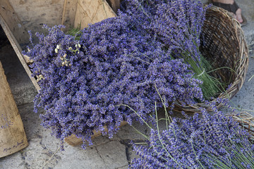 Lavender Flower Bouquets In Provence