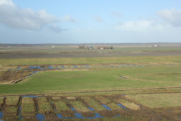 Fototapeta premium View from tower 