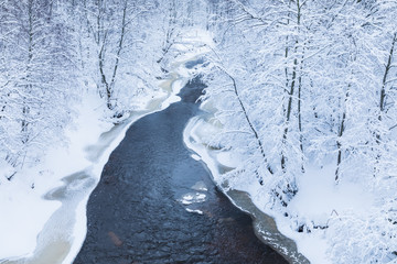 The landscape of the small river or the brook in the beautiful winter forest or in the park among the trees under the snow, ice and hoar