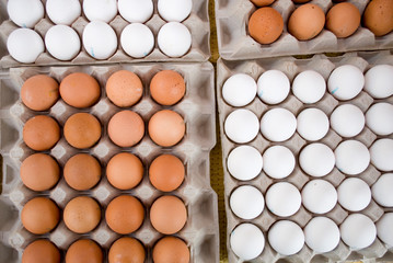 chicken fresh eggs, white and beige, on display in a local farmers market, in order in carton, ready to be sold, Milan, Italy