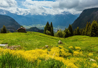 Obraz premium Summer Alps mountain, Switzerland